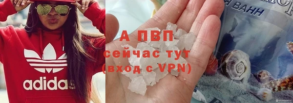 ГАЛЛЮЦИНОГЕННЫЕ ГРИБЫ Ельня