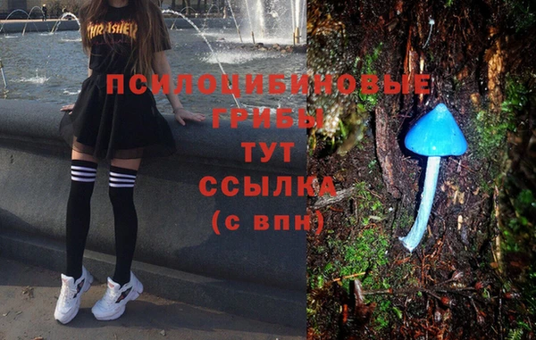 каннабис Пересвет