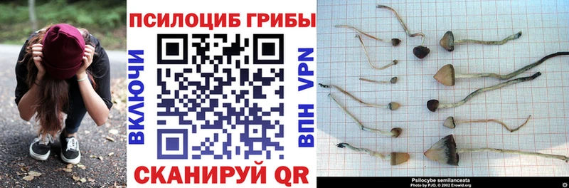 Псилоцибиновые грибы MAGIC MUSHROOMS  Аркадак 